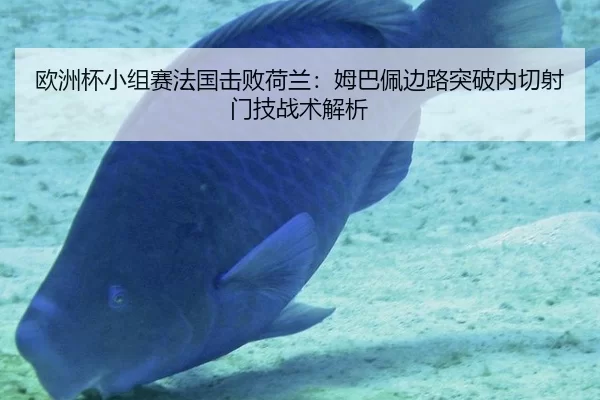 欧洲杯小组赛法国击败荷兰：姆巴佩边路突破内切射门技战术解析
